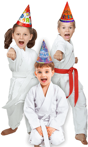 Martial Arts Birthday Party for Kids in Gilbert AZ - Birthday Punches Page Banner